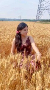 ​麦子4兄弟情：酸甜成长路