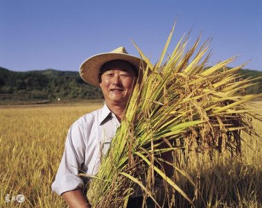 ​新政策出台，过冬不能烧炭？这些农民却还有补贴拿！最高600元