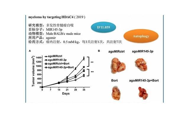 夫妻不合,这些法术可以让你们重新点燃爱情 夫妻不合,这些法术可以让你们重新点燃爱情