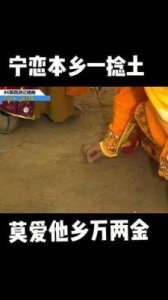 《故乡的泥土》:闫学晶与儿子林傲霏的母子逆袭演绎挑战与乡村振兴故事