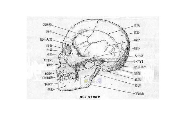 离婚后和前夫还一起睡(为何还与前夫睡在一起) 离婚后和前夫还一起睡(为何还与前夫睡在一起)