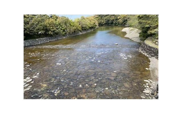 为什么找对了还是进不去位置在哪 找对了还是进不去位置的原因 为什么找对了还是进不去位置在哪 找对了还是进不去位置的原因