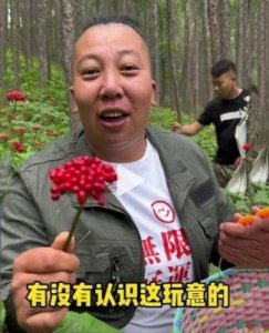 “东北雨姐”回应后仍持续掉粉,目前已有近70万粉丝流失