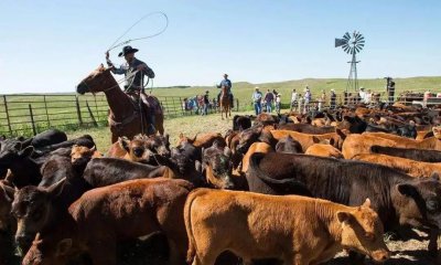 神秘空间,骇人听闻的屠牛事件