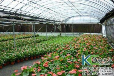 温室大棚简易滴灌技术