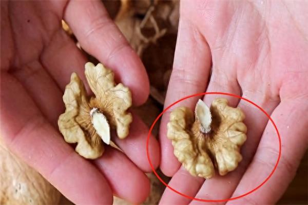 自己在家做琥珀核桃,方法简单嘎嘣脆,好吃的停不下来