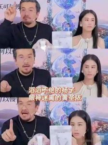 黄圣依与杨子的婚姻:背后的牺牲与不被理解的真实故事