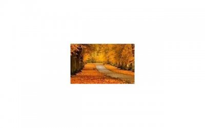 吃叶酸片后白发发黑 为什么医生不建议吃叶酸