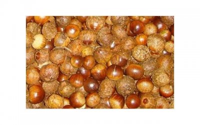 ​射手座男生突然对你冷淡的原因，射手座男生突然对你很好