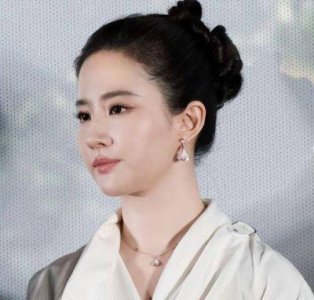 刘亦菲指出的真相:闪婚生子胡歌已踏上不同道路