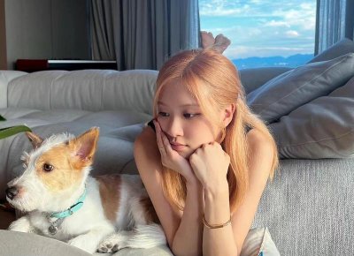 婆媳和睦相处的很少为什么 婆婆和媳妇谁占主导地位