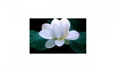 男女暧昧外人看得出吗(男生知道女生结婚还联系暧昧)