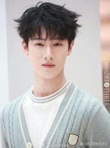 《九重紫》热潮:李昀锐是狐系奶狗,古偶中的新宠