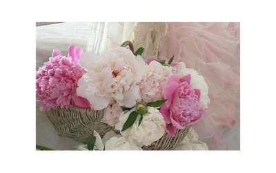 男朋友妈妈嫌我家穷,怎么办