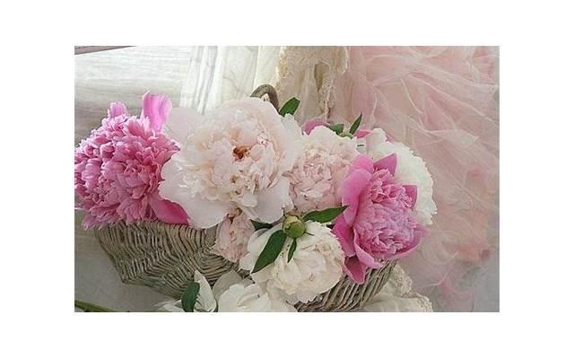  男朋友妈妈嫌我家穷，怎么办