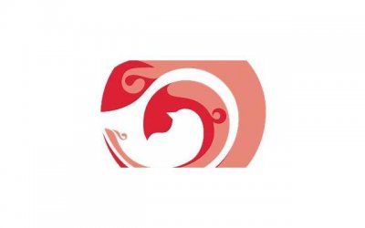 如何经营婚姻才会幸福(婚姻如何经营才能长久呢)