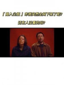 ​隐入尘烟即将下架影院，专业人士揭示背后真相