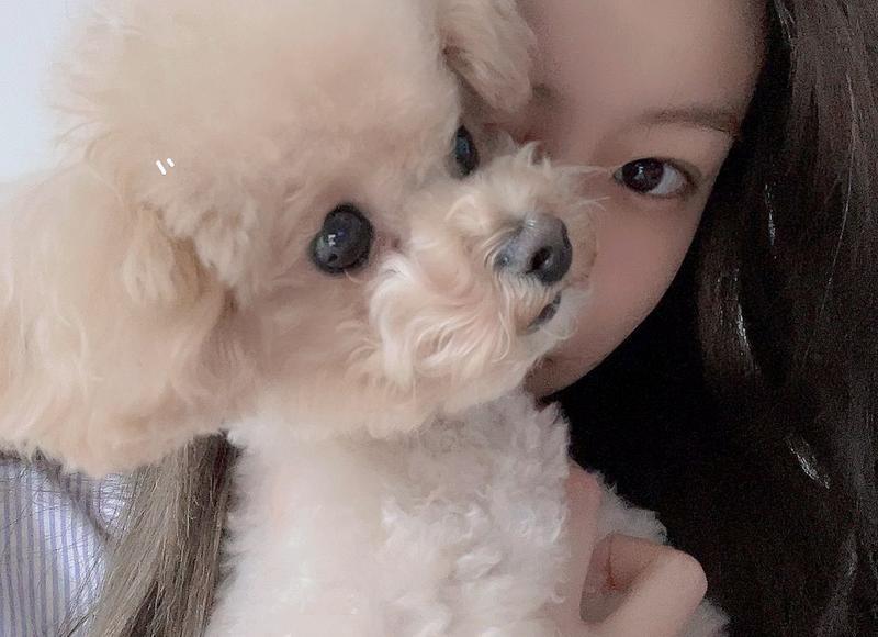 如何巧妙地安抚女友与妈妈的争吵 如何巧妙地安抚女友与妈妈的争吵