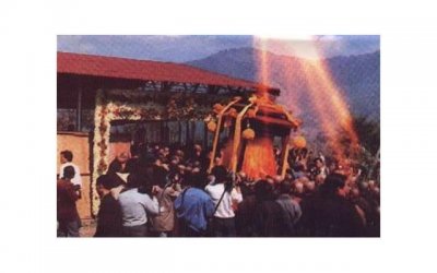 为什么撩不到妹子 关于奶茶撩妹套路