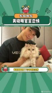 ​向佐自扇嘴巴，叶珂品尝蛋糕，近期走红的这两位都与黄晓明有着千丝万缕的联系