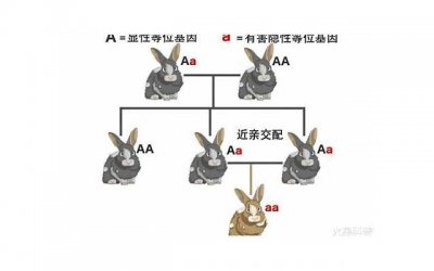 ​人为什么要结婚的理由 原因有这两个