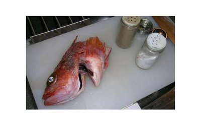 ​离婚怎样去起诉