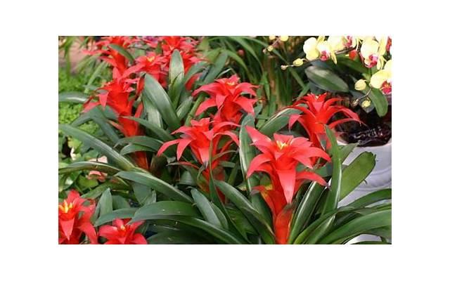 喜欢的男生不主动找我聊天怎么办,男生不主动聊天 喜欢的男生不主动找我聊天怎么办,男生不主动聊天