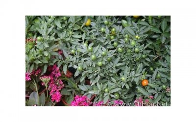 婚姻挽回技巧和策略,如何挽救婚姻?