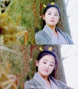 张含韵澄清《南烟斋笔录》传闻:我不是女二未加戏