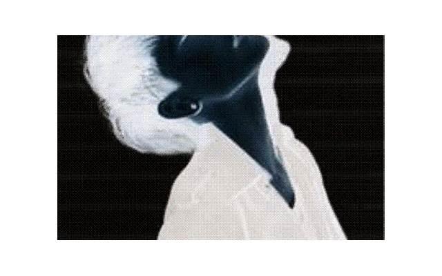 润滑剂更加安全和卫生?如何使用润滑剂效果好 润滑剂更加安全和卫生?如何使用润滑剂效果好