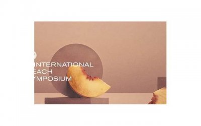 ​离婚后转移财产如何处理，法律上如何解决