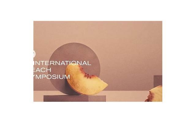 离婚后转移财产如何处理，法律上如何解决