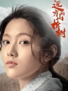 《遥远的山楂树》宋赫男的孩子是谁的?疑似男主角二的?