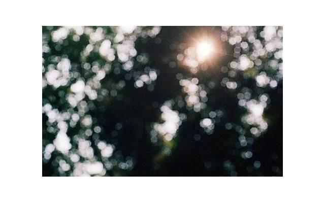 被女生当成备胎了我该怎么办?备胎转正指南 被女生当成备胎了我该怎么办?备胎转正指南