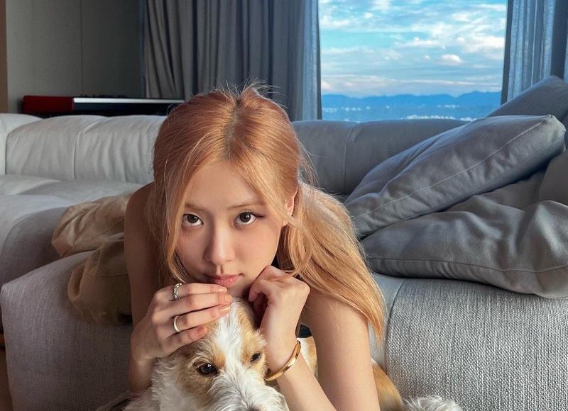 婚前同居有必要吗?到底好不好呢? 婚前同居有必要吗?到底好不好呢?