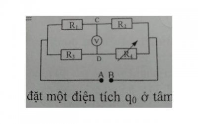 蜂蜜洗脸有什么好处(会给身体带来6个好处)