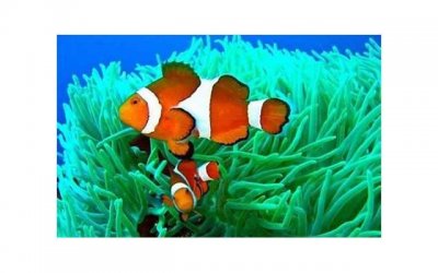 告诉你,小人恶人最怕你这样