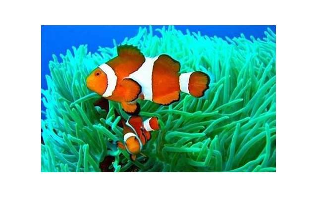 告诉你,小人恶人最怕你这样 告诉你,小人恶人最怕你这样