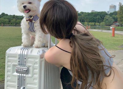 起诉要抚养费能不能要到