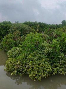 池方圆毕业后去向揭秘:探寻池方圆的现状与发展