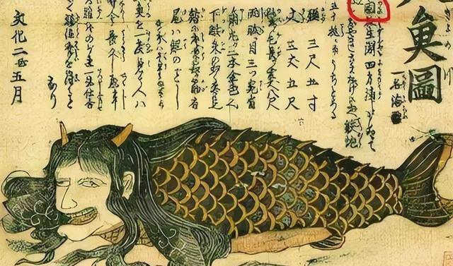 捕获?拍摄?曝光?找到美人鱼实锤证据?为何说或是人类祖先?