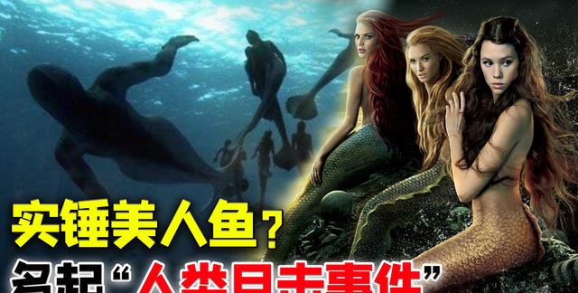 捕获?拍摄?曝光?找到美人鱼实锤证据?为何说或是人类祖先?