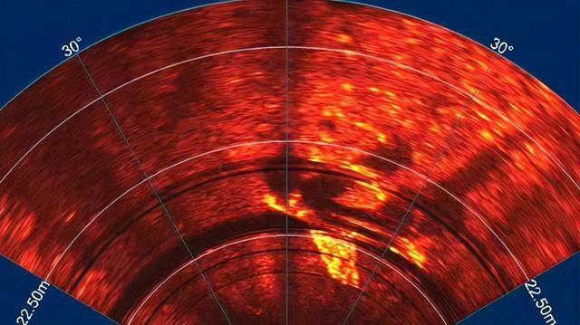 捕获?拍摄?曝光?找到美人鱼实锤证据?为何说或是人类祖先?