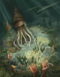 ​海洋里的庞大生物家族它们从寒武纪一直存活到了现在