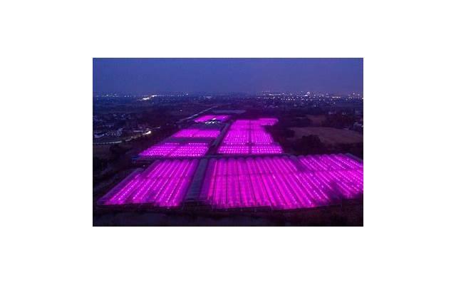 三个大姐的心里话,老铲居最担心什么? 三个大姐的心里话,老铲居最担心什么?