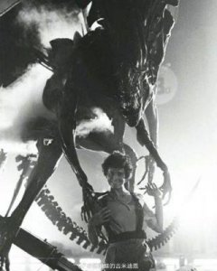 ​近4亿票房，惊悚科幻大片《异形：夺命舰》强势登陆，再度引发观众对恐怖片需