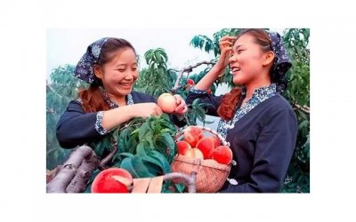 ​女生第一次约会的技巧 女生第一次约会注意事项有哪些