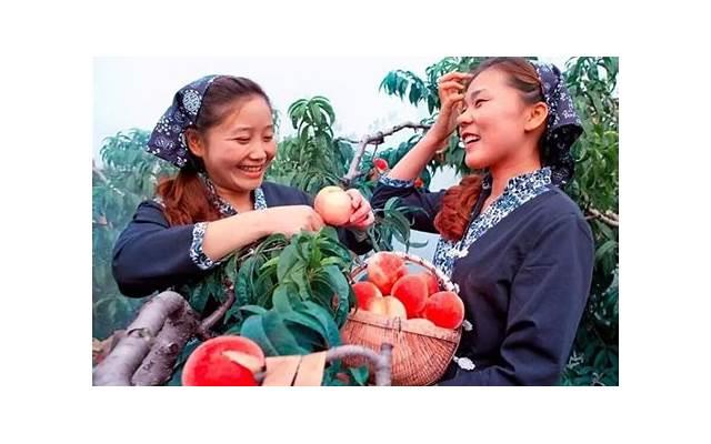 女生第一次约会的技巧 女生第一次约会注意事项有哪些