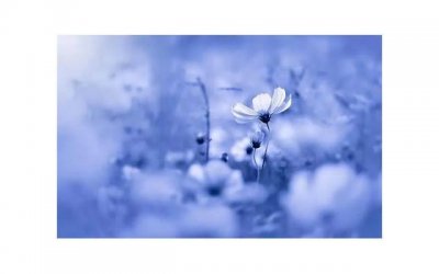 ​女生找对象主要看什么（聪明女孩的择偶条件有哪些）