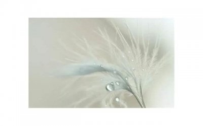 女生给你发照片意味着什么